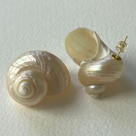 With the one-of-a-kind La Mer earrings, crafted from turbo shells, these earrings have a natural pearly and iridescent shine, giving off a goddess-like aura. The post needle design makes them light weight and easy to wear. Be ready to turn heads and channel your inner Venus. Shells Aesthetics, Shell Aesthetic, Shell Accessories, 2024 Wardrobe, Wedding Event Dresses, Ball Ideas, Tooth Gem, Shop Projects, Seashell Earrings