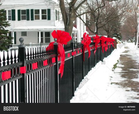 Red Ribbon Bows On The Iron Fence along a Small Town Street Small Town Street, Fence Edging, Fence Planning, Cool Tricks, Red Ribbon Week, Farm Fence, Edging Ideas, Fence Decor, Chain Link Fence