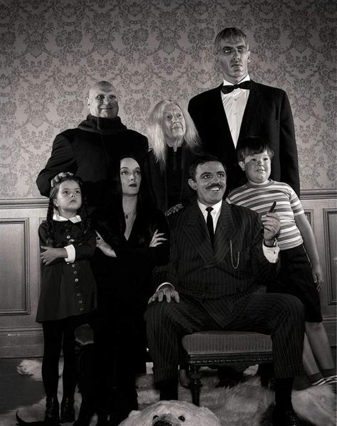 Addams Family Members, Addams Family Cartoon, Thing Addams, The Addams Family 1964, Ted Cassidy, Addams Family Tv Show, Wednesday Addams Costume, Addams Family Costumes, Adams Family