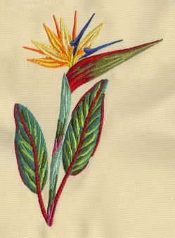 Embroidered Tropical Flowers, Bird Of Paradise Embroidery, Tropical Flowers Embroidery, Tropical Embroidery Design, Jungle Embroidery, Tropical Embroidery, Pes Embroidery, Embroidery Design Sets, Basic Embroidery Stitches