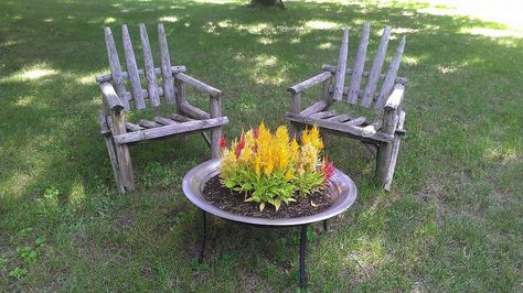 I drilled some holes in an old fire pit, and planted celosia to look like fire in the fire pit! Flower Fire Pit, Recycled Garden, Backyard Diy, Diy Fire Pit, Planter Ideas, Backyard Fire, Fire Pit Backyard, Septic Tank, Firepit