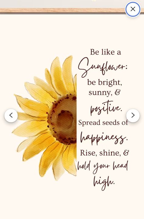 Sunflower Quotes Happiness, Sunflower Quotes Inspirational, Yellow Flower Quotes, Kids Affirmations, Sunflower Quotes, Wings Png, Board Pictures, Exam Quotes, Sunshine Quotes