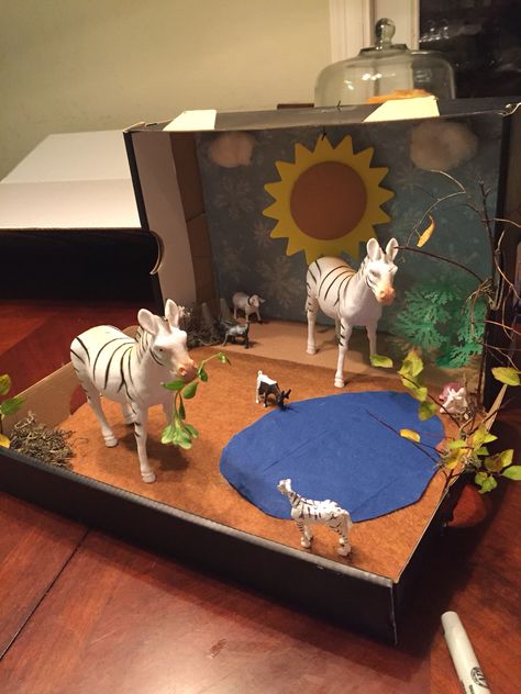 shoebox zebra diorama Grasslands Diorama, Zebra Habitat, Shoe Box Diorama, Shoebox Project, Habitat Diorama, Biomes Project, Habitat Project, Diorama Kids, Diarama Ideas