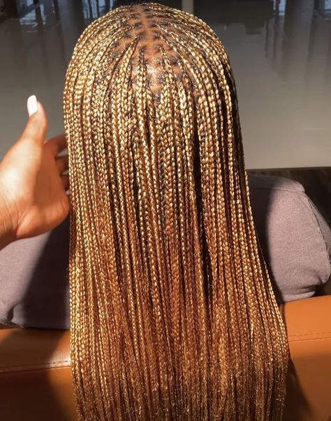 Caramel Braids Black Women, Ginger And Blonde Knotless Braids, Afrocentric Braids, 4/27/30 Braids, Honey Brown Braids, Honey Blonde Knotless, Honey Blonde Knotless Braids, Blonde Knotless Braids, Blonde Knotless