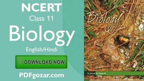 Ncert Biology Class 11, Ncert Biology, Biology Class 12, Biology Class 11, Class 11 Biology, Biology Book, Ncert Books, Competitive Exam, Class 11