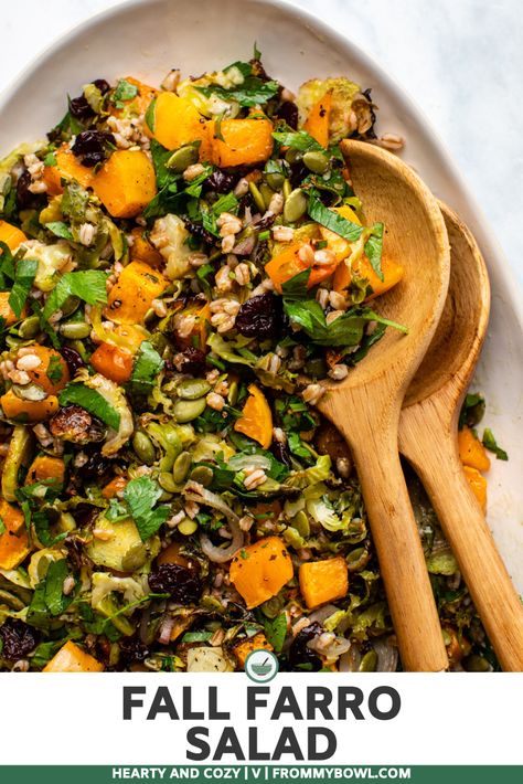 This Fall Farro Salad with Butternut Squash & Brussels Sprouts is a hearty salad that’s packed with seasonal ingredients and tossed in a tangy apple cider vinaigrette! Vegan, Gluten-Free Option. Fall Farro Salad, Salad With Butternut Squash, Fall Lunch, Apple Walnut Salad, Cider Vinaigrette, 2023 Recipes, Butternut Squash Salad, Sprout Salad, Shredded Brussel Sprouts