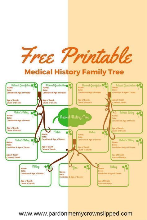 FREE PRINTABLE Medical History Family Tree from Pardon Me, My Crown Slipped Family Medical History Printable Free, Geneology Printables Free, Family Medical History, Medical Printables, Printable Tree, Family Health History, Free Genealogy Sites, Family Tree Printable, Genealogy Organization