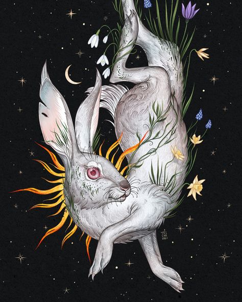 ☽ Blessed Ostara and Spring Equinox! 🌿 I love this time, full of hope and anticipation. When you notice every swollen bud, every thawed patch, listen to the songs of returning birds. And ahead - a lovely spring and a generous summer, warm evenings, walks and trips, and new discoveries. • • • #wheeloftheyear #ostara #springequinox #wiccaart #folkart Watership Down Art, Blessed Ostara, Dnd Ocs, Hare Illustration, Hare Painting, Supernatural Tattoo, Watership Down, Rabbit Tattoos, Spirit Animal Art