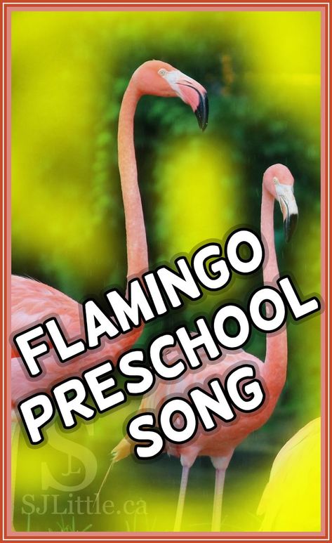 Flamingo Art Preschool, Preschool Flamingo Crafts, Flamingo Preschool Craft, Flamingo Unit Study, Flamingo Preschool Activities, Flamingo Crafts For Toddlers, Flamingo Art For Kids, Flamingo Crafts For Kids, Song For Preschoolers