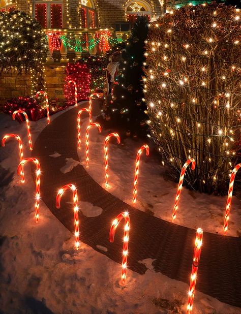 #Christmas Candy Cane #Christmas #Christmas tree Exterior Christmas Lights, Christmas Pathway Lights, Christmas Outdoor Decorations, Christmas Lawn Decorations, Christmas Candy Cane Decorations, Lights For Christmas, Candy Cane Decorations, Diy Christmas Lights, Pathway Lights