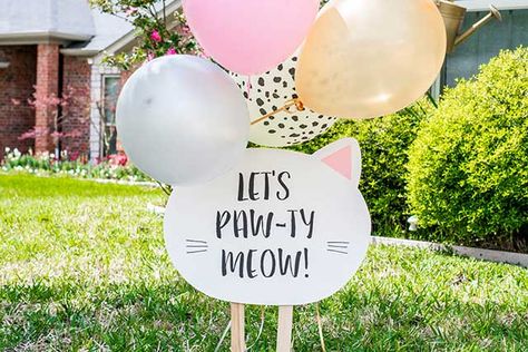 Cat Birthday Party Decorations Diy, Are You Kitten Me Birthday, Cat Themed Birthday Party Decorations Diy, Kitten Birthday Party Decorations, Diy Cat Party Decorations, Are You Kitten Me Birthday Party, Girls Cat Birthday Party, Kitten Birthday Party Ideas, Kitten Themed Birthday Party