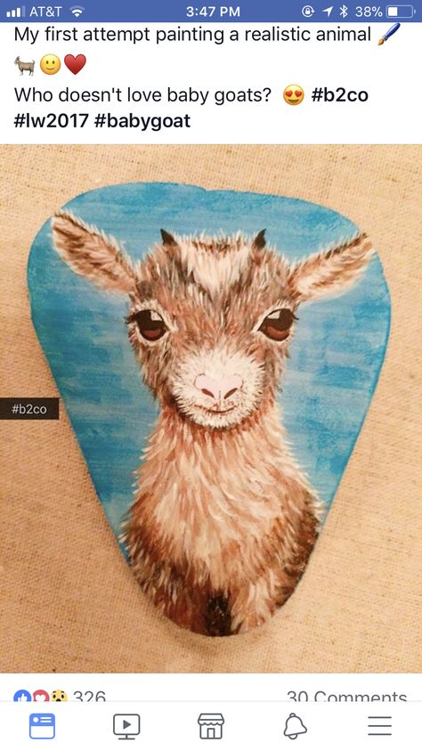 Goat Paintings, Baby Goat, Rock Painting Ideas Easy, Baby Goats, Painted Rock, Rock Art, Painted Rocks, Moose, Goats