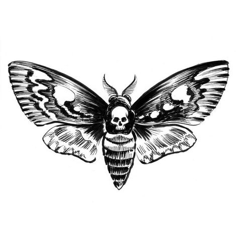 Moth Tattoo Meaning, Tattoo Papillon, Tato Tradisional, Moth Drawing, Moth Tattoo Design, Skull Moth, Realistic Temporary Tattoos, Angel Tattoo Designs, Tattoos Geometric