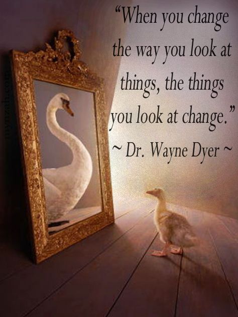 Perception Quotes, Wayne Dyer Quotes, Wayne Dyer, Positive Life, Positive Thoughts, Great Quotes, Positive Thinking, Inspire Me, Inspirational Words