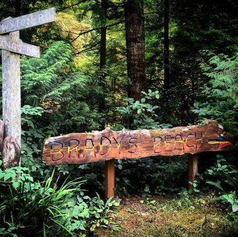 Justin Bengry on Instagram: “Brady Beach at Bamfield #bc #britishcolumbia #canada” Bainbridge Island Aesthetic, Bamfield Bc, Port Renfrew Bc, Campobello Island Canada, Vancouver Island Canada, Bancroft Ontario, Lake Ontario, Vancouver Island, British Columbia