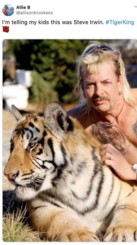 This show is fricking wild and we love it for that. #TigerKing #Memes #TVShow #Animals #Tiger Big Cat Rescue, Joe Exotic, Tiger King, Natural Cat, Family Costumes, Cat Rescue, Latest Music, Edgy Memes, Funny Tweets