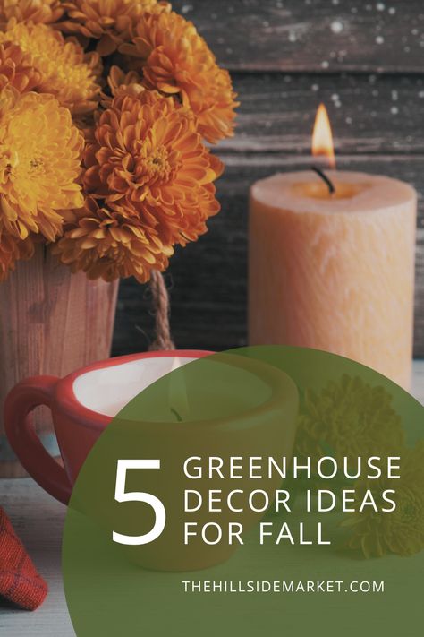 Fall flowers and candles in the greenhouse Fall Greenhouse Decor, Fall Greenhouse, Greenhouse Decor, Ornamental Kale, Shed Decor, Ways To Love, Greenhouse Design, Connection With Nature, Fall Gathering