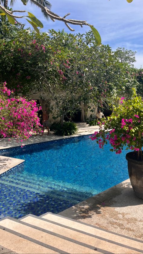 swimming pool in bali with pink flowers Flower Pool, Bali House, White Rock, Rock On, Wild Flower, Country Living, Brie, Pink Flower, Future House