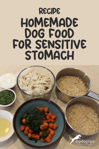 This homemade dog food for sensitive stomach recipe may be just what a dog like this needs. Sensitive Dog Food Recipes, Homemade Dog Food For Digestive Problems, Small Dog Homemade Food, Homemade Dog Food With Fish, Homecooked Dog Food Recipes, Healthy Homemade Dog Food For Small Dogs, Dog Food For Sensitive Stomachs, Dog Meals Homemade Easy, Dog Food Recipes For Sensitive Stomachs