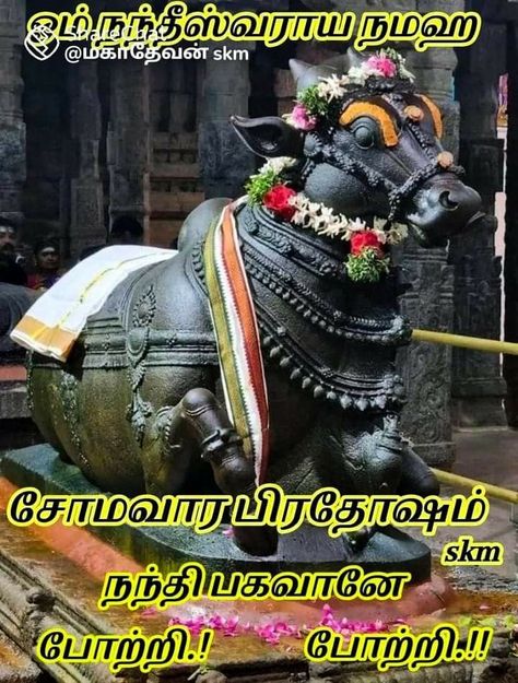 Nandi Ji Wallpaper, God Nandi Images, Nandi Photos, Nandi Maharaj, Nandi Bull Images, Nandi Shiva, நந்தி பகவான், Nandi Bull, Bull Images