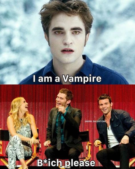 Vampire Diaries Funny Memes Hilarious, Teen Wolf Boy, Hayley And Klaus, Klaus From Vampire Diaries, Vampire Diaries Memes, Vampier Diaries, The Vampire Diaries 3, Vampire Diaries Movie, Vampire Diaries Quotes