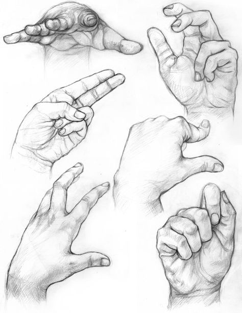 Drawing Hands, Hand Gestures, Hand Drawing Reference, Anatomy Sketches, Art Sketches Pencil, Drawing Studies, Anatomy Drawing, Hand Sketch, Anatomy Art