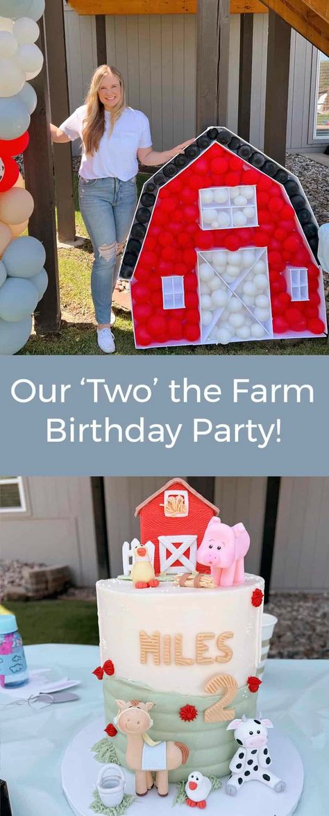 Our going 'two' the farm birthday party and all the details! Barnyard 3rd Birthday Party, Two Year Old Birthday Party Farm Theme, Farm Theme Third Birthday, Farm Picnic Birthday Party, Backyard Farm Birthday Party, Farm Theme Two Year Old Party, Down On The Farm Birthday Party, Blue Barnyard Party, Moo Moo Birthday Party