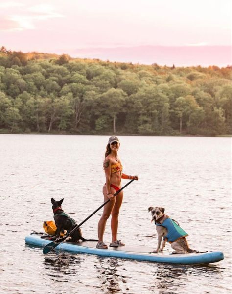 Paddle Board With Dog, Dog On Paddle Board, Paddle Boarding Dog, Travel Dog Aesthetic, Paddle Board Dog, Dog Paddle Boarding, Paddle Boarding With Dog, 2022 Vision Board Pictures, Paddleboarding Aesthetic