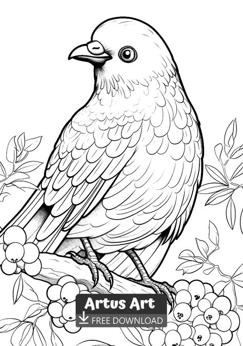 Bowerbird Coloring Page - Free PDF Download Coloring Page. Look at this amazing Awesome Bald eagle. Grab your colored pencils and get your free copy of this coloring page. #freedownload #bowerbirdcoloringpage #bowerbird Bird Coloring Pages For Adults, Birds Coloring Pages Free Printable, Embroidery Birds, Coloring Page Free Printable, Hijau Mint, صفحات التلوين, Bird Coloring Pages, Floral Chandelier, Bird Quilt