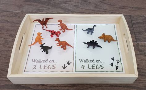 "These Dinosaur activities are wonderful to use in conjunction during a unit lesson. This set is fantastic for a classroom setting, a daycare or home school environment, or as an extension to your educational learning home. Great for a Montessori, Waldorf, or Reggio Emilia inspired environment. Children can explore with the materials in the tray and set up their own environment, practice sorting with picture cards and a Dinosaur extension activity on Dinosaurs that walked on 2 legs versus4. Mate Digging For Dinosaurs Activities, Reggio Emilia Dinosaur Activities, Montessori Dinosaur Activities, Dinosaur Activity Preschool, Toddler Dinosaur Activities, Dinosaur Kindergarten Activities, Firefly Activities, Eyfs Dinosaurs, Preschool Dinosaur Activities