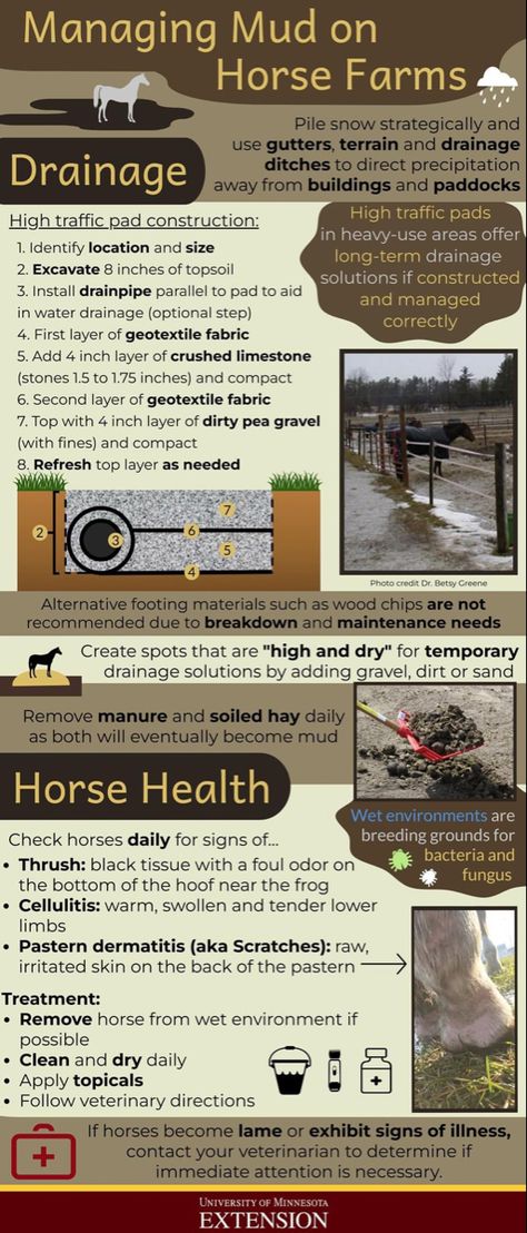 Drainage Ideas, Crushed Limestone, Drainage Ditch, Horse Stalls, Horse Health, Top Soil, University Of Minnesota, Horse Barns, Horse Farms