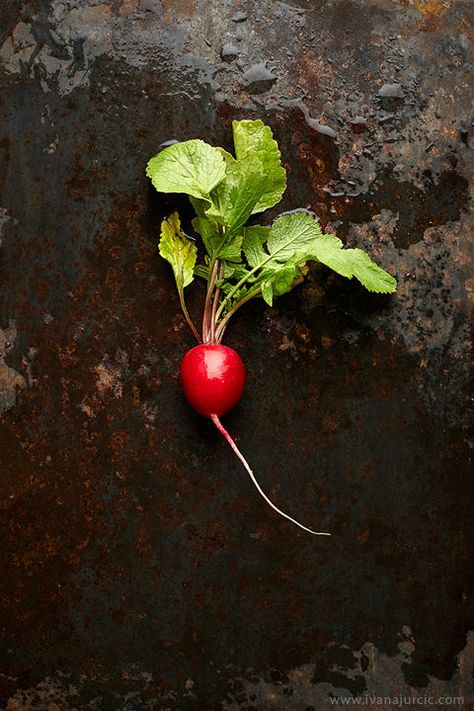 Photography Simple, Vegetables Photography, 3d Dragon, Compression Shirts, Raw Foods, Still Life Fruit, Food Photography Inspiration, Fruit Photography, Belgrade Serbia