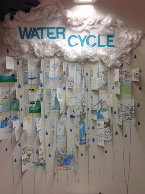 Water cycle foldables Water Cycle Classroom Display, Water Cycle Foldable, 2024 Classroom, Working Wall, Career Motivation, Craft Kids, Water Projects, Water Cycle, Science Ideas