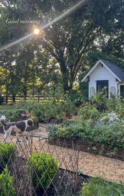 Farm Field Aesthetic, Simple Farm Life Aesthetic, Mini Horse Farm, Little Farm Aesthetic, Small Family Farm, Crops Aesthetic Farm, Cute Farm Aesthetic, Building A Farm, Small Farm Life