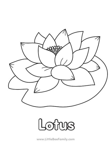 Lotus Coloring Page Wishlist Printable, Coloring Pages Activities, Starfish Colors, Dot Marker Activities, Bee Family, Dot Markers, Mystery Of History, Alphabet Coloring, Printable Coloring Pages