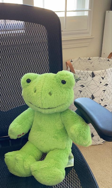 Cute Frog Plushies, Plushies Frog, Stuffed Frog Aesthetic, Frog Teddy Aesthetic, Soft Toy Frog, Bab Frogs, Frog Wallpaper, Frog Decor, Cute Squishies