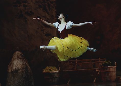 Svetlana Lunkina in Giselle. Svetlana Lunkina, Giselle Ballet, Ballet Dance, Ballet, Fictional Characters, Art