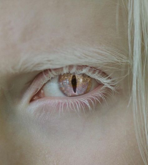 얼굴 그리기, Tauriel, Eye Photography, Aesthetic Eyes, Dragon Eye, Thranduil, Fantasy Aesthetic, 판타지 아트, Story Inspiration