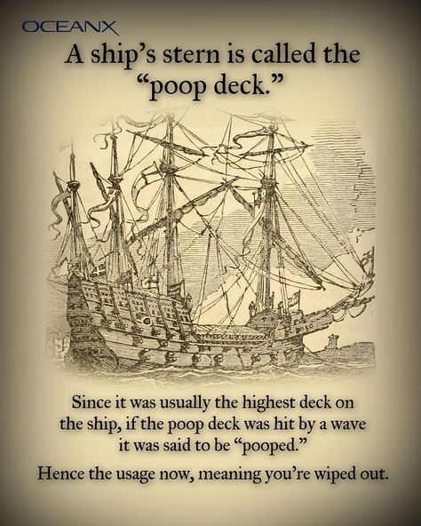 OceanX on Instagram: “...And before you jump to conclusions about where poop deck got its name, "Puppis" is Latin for stern.⠀ .⠀ .⠀ .⠀ #history #tbt…” Poop Deck, High Deck, Jumping To Conclusions, Vintage World Maps, History, On Instagram, Instagram