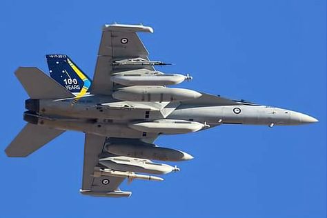 Ea 18g Growler, Super Hornet, Military Aviation, Hornet, Us Navy, Nasa, Aircraft, Birds, Navy