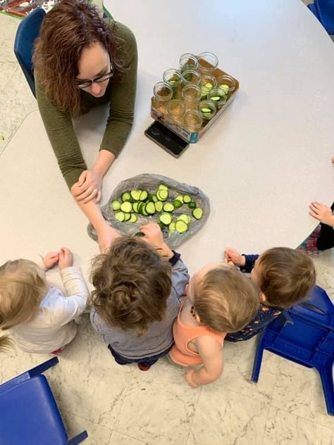 Pickle-Making Activity for Kids | TeachersMag.com Pickle Activities Preschool, Autumn Art Ideas For Kids, Pickle Making, Summer Lesson Plans, Horticulture Therapy, Kitchen Science Experiments, Dinosaur Activities Preschool, Cooking Activities, Stem Activities Preschool