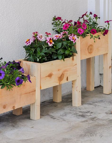 Kaktus Dan Sukulen, Planter Box Plans, Tiered Planter, Wood Projects Plans, Planter Project, Cedar Planters, نباتات منزلية, Wood Projects For Beginners, Carpentry Projects