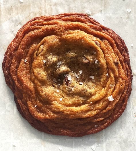 Salted Malted Brown Butter Chocolate Chip Cookies — Alix Traeger Malted Milk Powder, Brown Butter Chocolate Chip, Brown Butter Cookies, Brown Butter Chocolate Chip Cookies, Baking 101, Gooey Cookies, Malted Milk, Flaky Salt, Milk Cookies