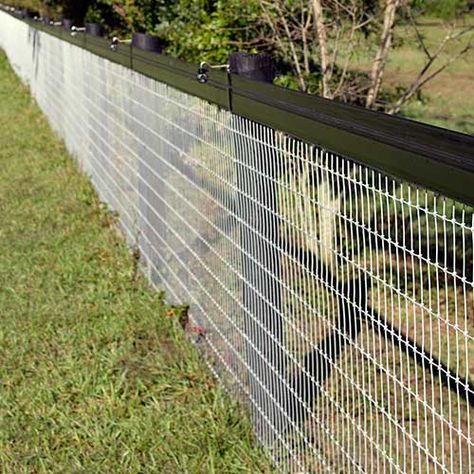 RedBrand Non-Climb Wire Mesh Fence | RAMM Horse Fencing & Stalls No Climb Fence Ideas, No Climb Fence, No Climb Horse Fence, Homestead Management, Farm Gates Entrance, Wire Horse, Rabbit Wire, Backyard Fencing, Farm Fencing