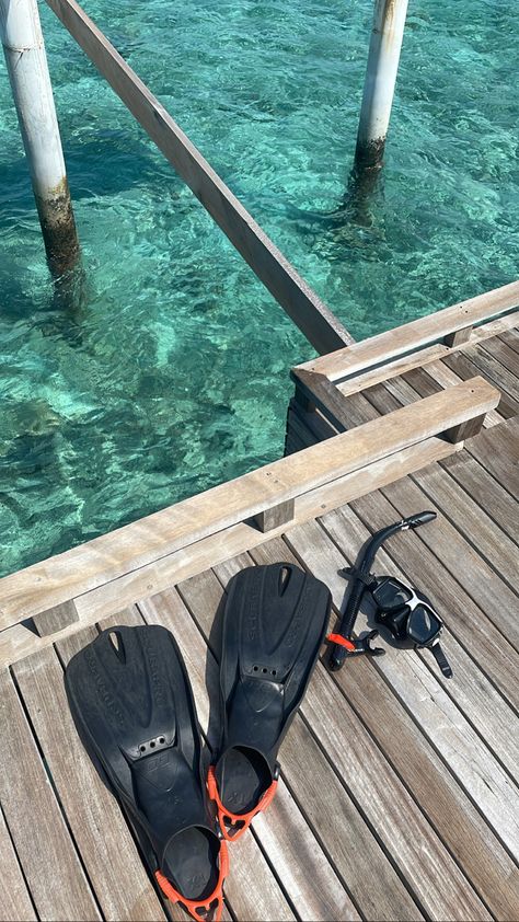 Sea Diving Aesthetic, Snorkel Aesthetic, Scuba Aesthetic, Scuba Diving Aesthetic, Snorkeling Aesthetic, Diving Aesthetic, Photo Voyage, Scuba Diving Photography, Drømme Liv