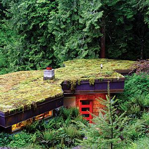 Make your own green rooftop in 3 simple steps:    1. In fall, scrape a handful of green moss from a rock or path (or ask a friend to share some).     2. Shred the moss into a blender with 1 cup buttermilk; mix to the consistency of a thick milkshake.     3. Paint the mixture onto the roof, a rock, or other surfaces where you want it to grow and spread. Damp, shaded locations are best. Roof Garden Plants, Moss Roof, Green Roof Garden, Green Roof House, Grass Roof, How To Garden, Living Roofs, Roofing Diy, Earthship