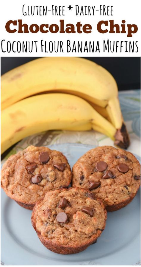 Paleo Banana Muffins Coconut Flour, Keto Banana Recipes Coconut Flour, Coconut Flour Banana Bread Muffins, Paleo Banana Chocolate Chip Muffins, Coconut Flour Chocolate Chip Muffins, Keto Banana Chocolate Chip Muffins, Coconut Flour Snacks, Banana Muffins With Coconut Flour, Banana Bread With Coconut Flour