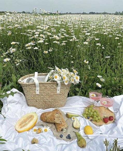 Cottagecore Picnic, Picnic Inspiration, Garden Picnic, Daisy Field, Vintage Picnic, Picnic Date, Cottage Core Aesthetic, Cottagecore Aesthetic, Spring Aesthetic