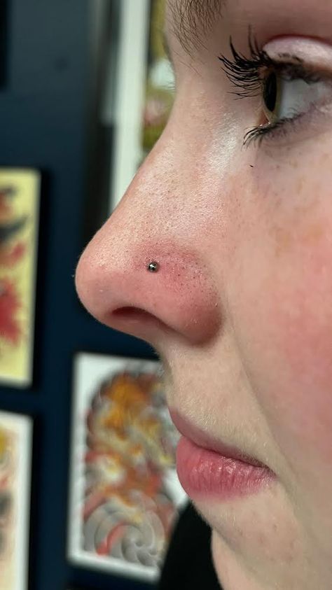 Nostril Piercing Aesthetic, Nose Piercing Nostril, Arlington Massachusetts, Nostril Piercing Jewelry, Piercing Nostril, Cute Nose Piercings, Nostril Piercing, Nose Piercing Stud, Face Piercings