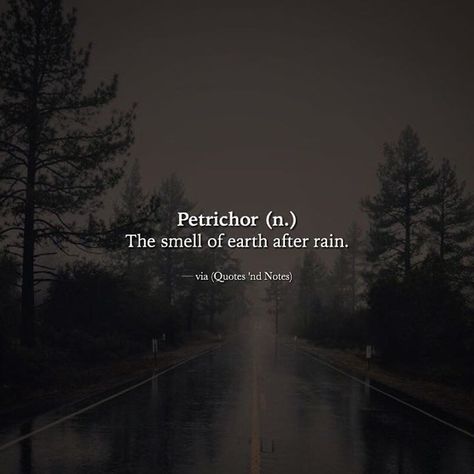 Petrichor (n.) The smell of earth after rain. via (http://ift.tt/2irFZmw) Smell Of Earth After Rain, Phobia Words, Rain Quotes, Foreign Words, Unique Words Definitions, Words That Describe Feelings, Uncommon Words, Credit Tips, One Word Quotes